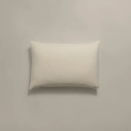 بيت مخدة ميكرو ٢ قطعة لون بيج