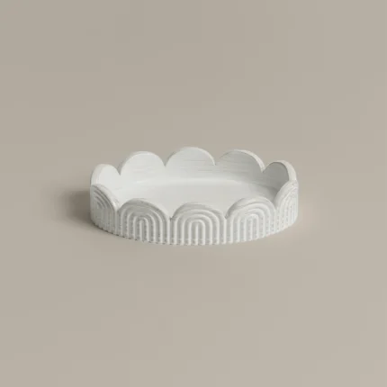 وعاء صابون بولي باللون الأبيض