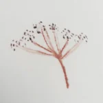 بيت مخدة ميكرو ٢ قطعة لون بينك