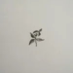 بيت تكاية قطن مطرز ٦٠-٦٠ أخضر