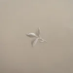 بيت تكاية قطن مطرز ٦٠-٦٠ أوف وايت