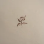 بيت مخدة قطن مطرز ٢ قطعة بيج غامق