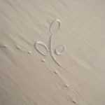 بيت مخدة ميكرو مطرز ٢ قطعة أوف وايت